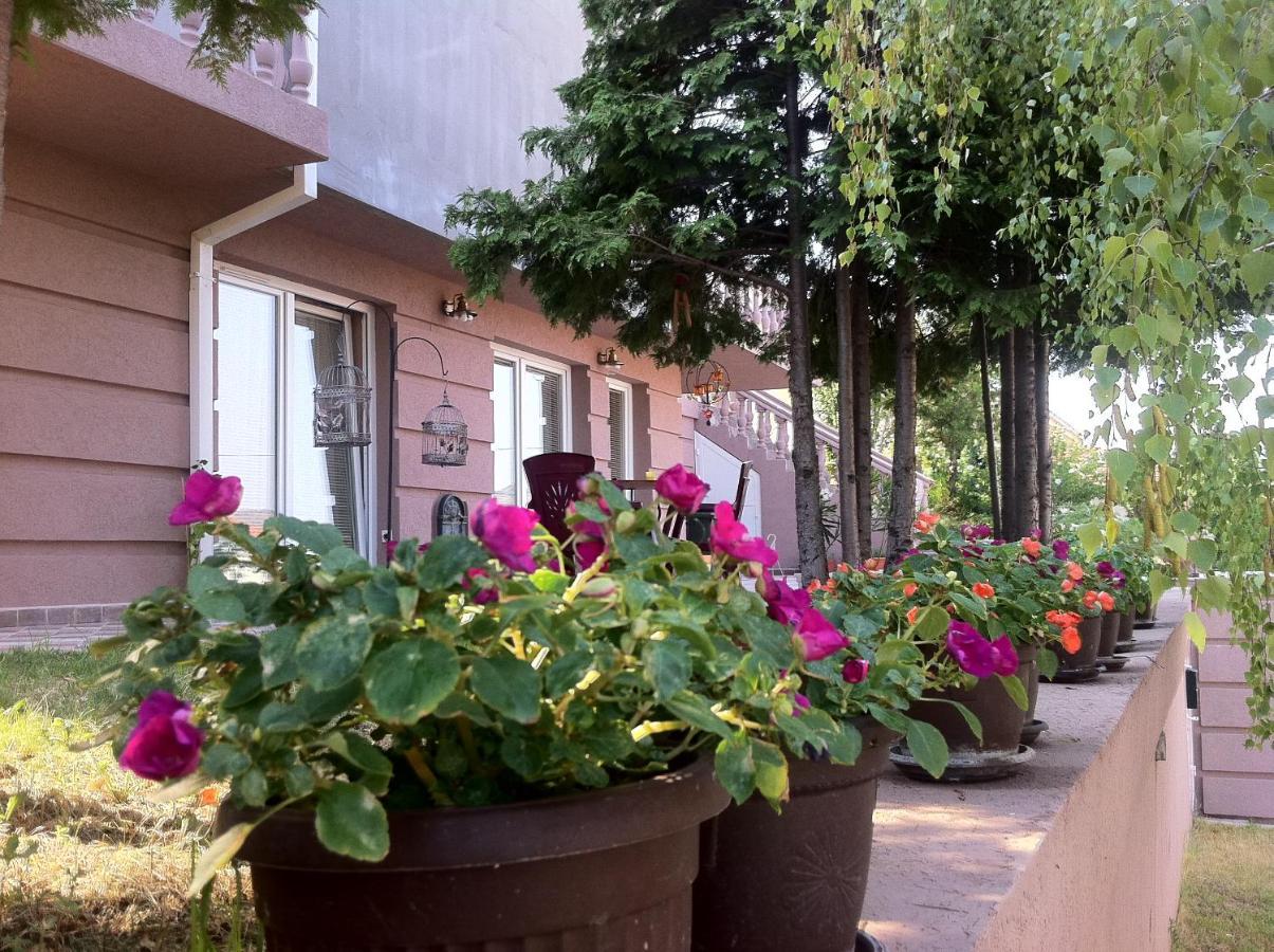 Amber Apartment Stip Bagian luar foto